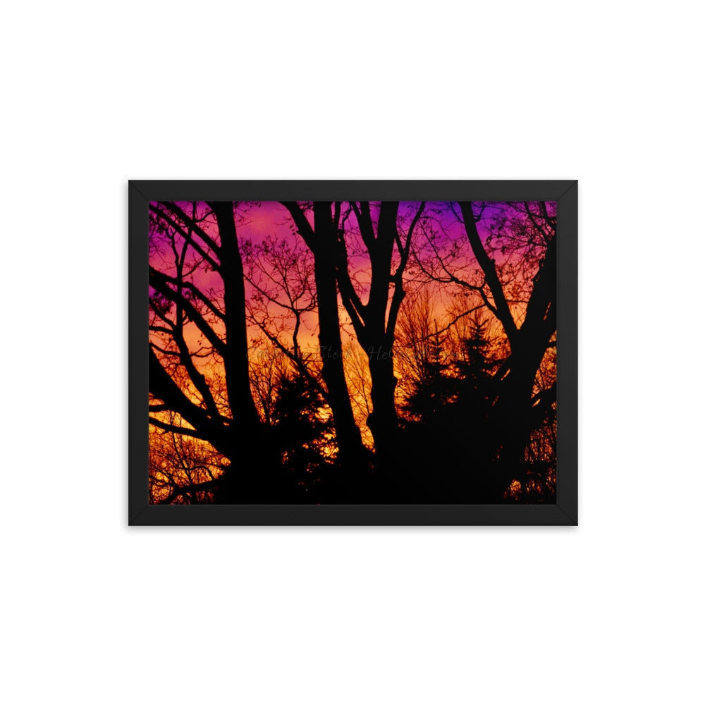 Phoenix Rising - Framed Poster 12×16