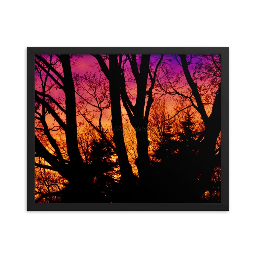 Phoenix Rising - Framed Poster 16×20