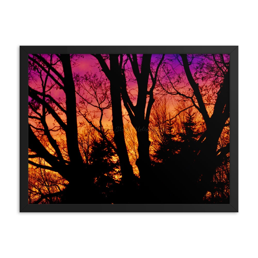 Phoenix Rising - Framed Poster 18×24