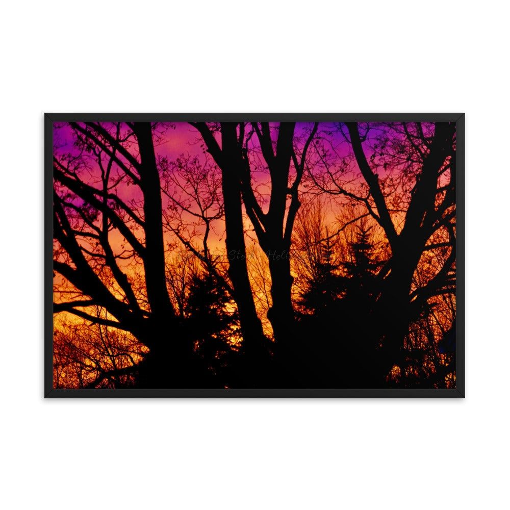 Phoenix Rising - Framed Poster 24×36